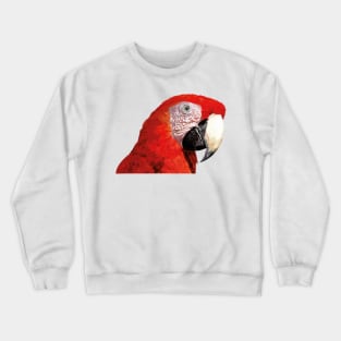 The scarlet macaw (Ara macao) Crewneck Sweatshirt